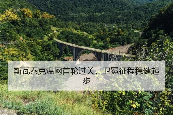 si-wa-tai-ke-wen-wang-shou-lun-guo-guan-wei-mian-zheng-cheng-wen-jian-qi-bu-2-853.jpg