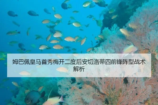 mu-ba-pei-huang-ma-shou-xiu-mei-kai-er-du-hou-an-qie-luo-di-si-qian-feng-zhen-xing-zhan-shu-jie-xi-2-548.jpg